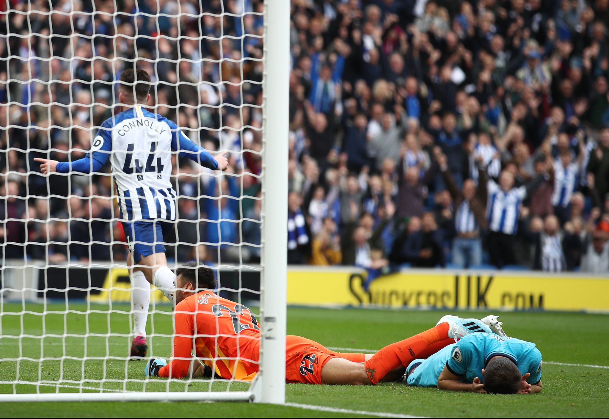 构成了全球 构成了全球