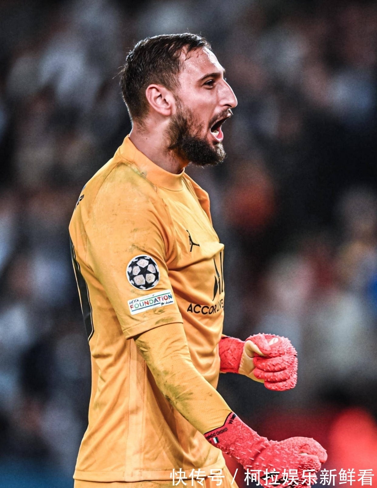 能稳定拉高 能稳定拉高